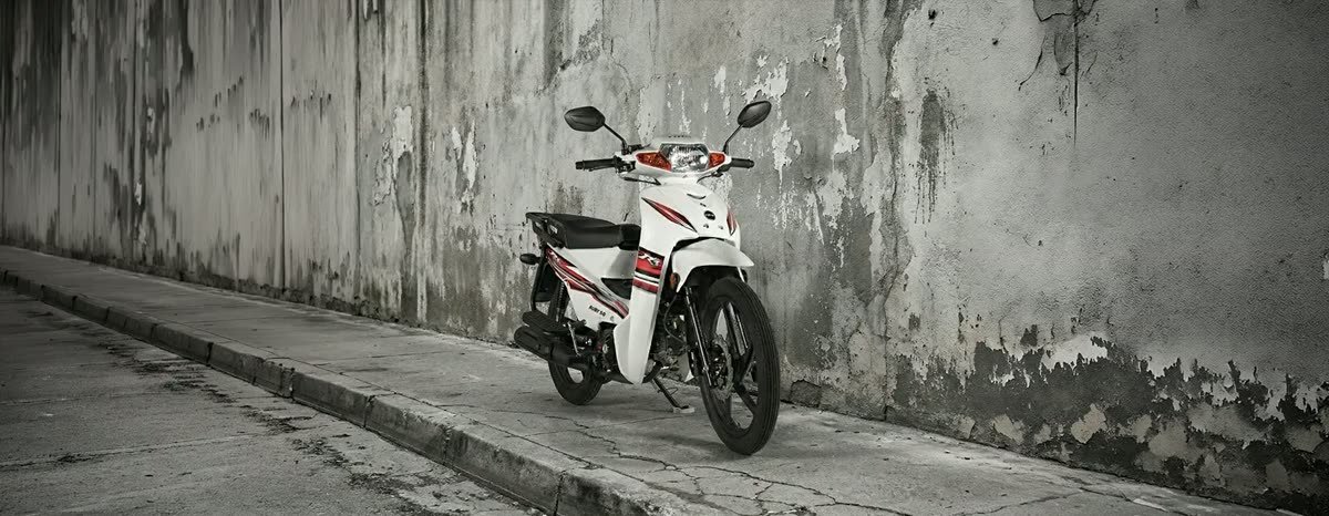 Kimmi Rubi 50